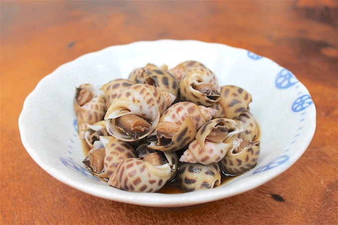SaKaNa LaB - Japanese Seafood Dining photo 8