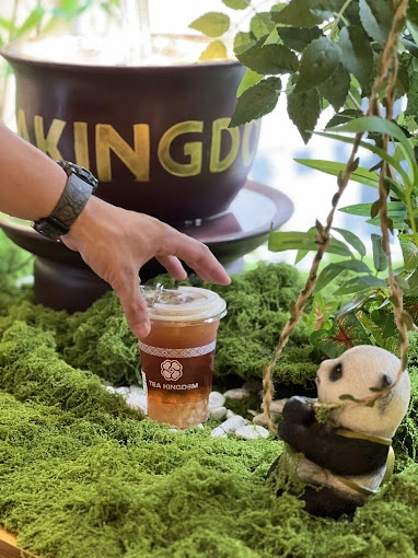 TEA KINGDOM | ធីឃីងដឹម – BOENG KENG KANG photo 3